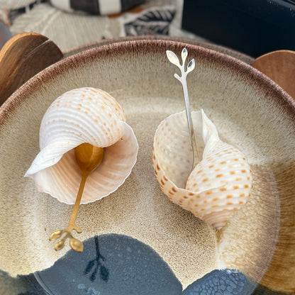 Serving Shells - Set of 2 Genuine Shell Bowls with Spoons