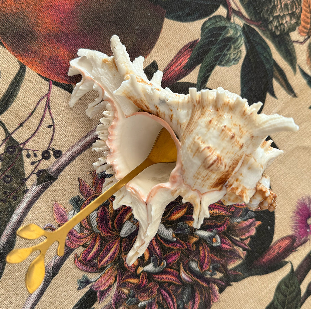 Spiky Shell Bowl - Genuine Shell Condiment Bowl with Spoon
