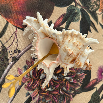 Spiky Shell Bowl - Genuine Shell Condiment Bowl with Spoon